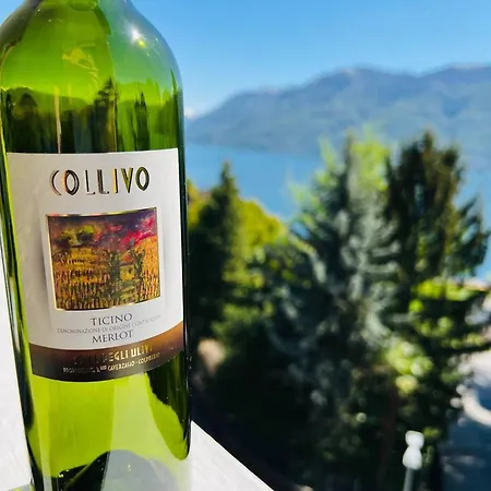 Sunny Modern View Relax * Brissago