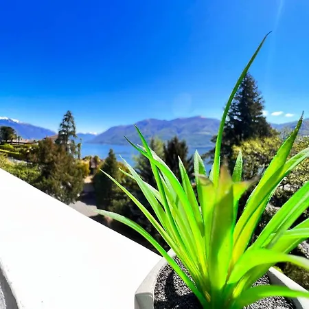 Sunny Modern View Relax *