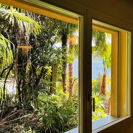 Sunny Modern View Relax